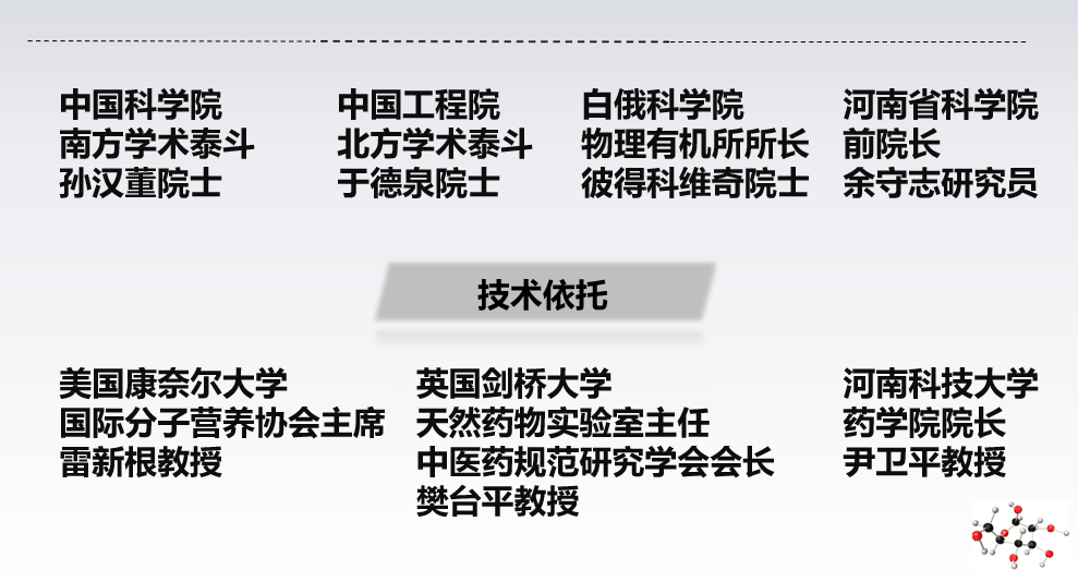 技术依托团队